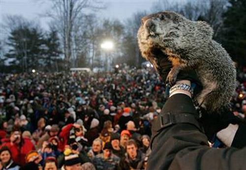 A crowd gathers as a person holds up a groundhog during a winter celebration.