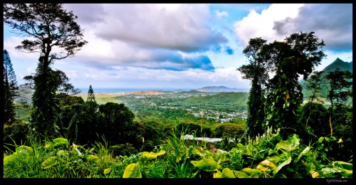 Lush green landscape with trees and hills, overlooking a valley and distant mountains under a partly cloudy sky.