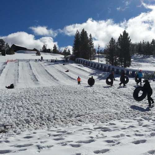 People sledding down snowy hills on inner tubes, with trees and a blue sky in the background.