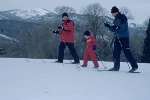 Three people skiing on a snowy landscape, with mountains in the background. A child is skiing between two adults.