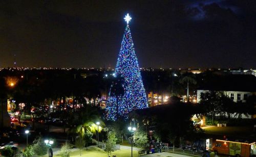A brightly lit Christmas tree adorned with colorful lights stands tall at night, surrounded by city lights and palm trees.