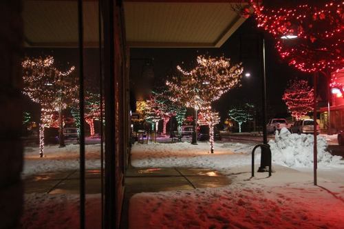 Colorful holiday lights adorn trees in a snowy park at night, creating a festive winter scene.