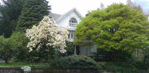 A charming white house surrounded by lush greenery and blooming trees on a sunny day.