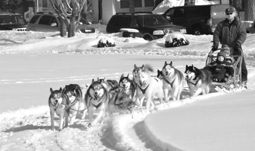 A person drives a sled pulled by a team of huskies through a snowy landscape, with a child seated in the sled.
