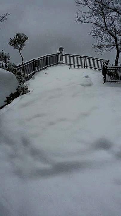 A snowy landscape covering a deck or patio, with a gray sky and bare trees in the background.