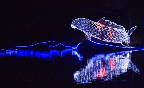 A glowing, illuminated whale sculpture leaps above a reflective water surface, surrounded by blue lights.