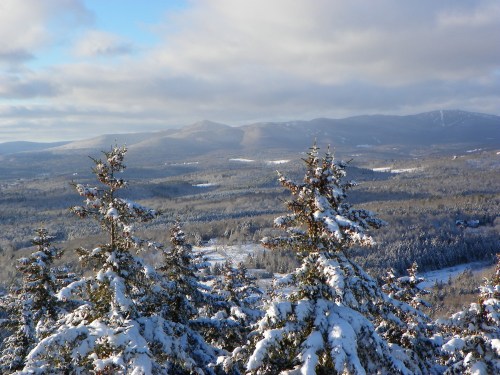 Snow-covered trees in the foreground with a panoramic view of mountains and valleys under a cloudy sky.