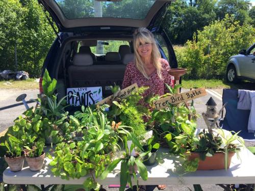 A woman stands behind a table filled with various plants and bird baths, with a car trunk open in the background.