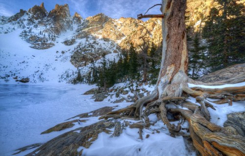 A gnarled tree stands on rocky terrain, with snow and a frozen lake in the foreground, surrounded by rugged mountains.