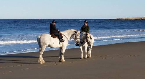 Two riders on white horses stand on a sandy beach, with the ocean waves gently lapping in the background.