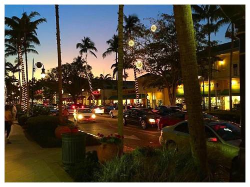 A vibrant street scene at dusk, lined with palm trees and festive lights, with cars and pedestrians enjoying the atmosphere.