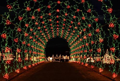 A festive archway adorned with red and green lights, creating a vibrant holiday atmosphere at night.