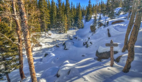 A snowy landscape with tall pine trees and a signpost indicating a trail, bathed in bright sunlight.