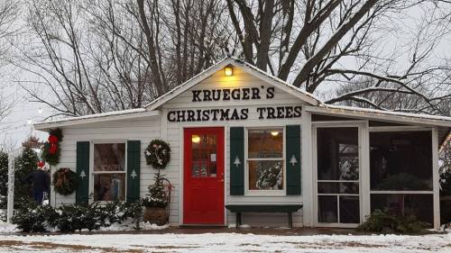 A cozy shop named "Krueger's Christmas Trees" decorated for the holidays, surrounded by snow and greenery.