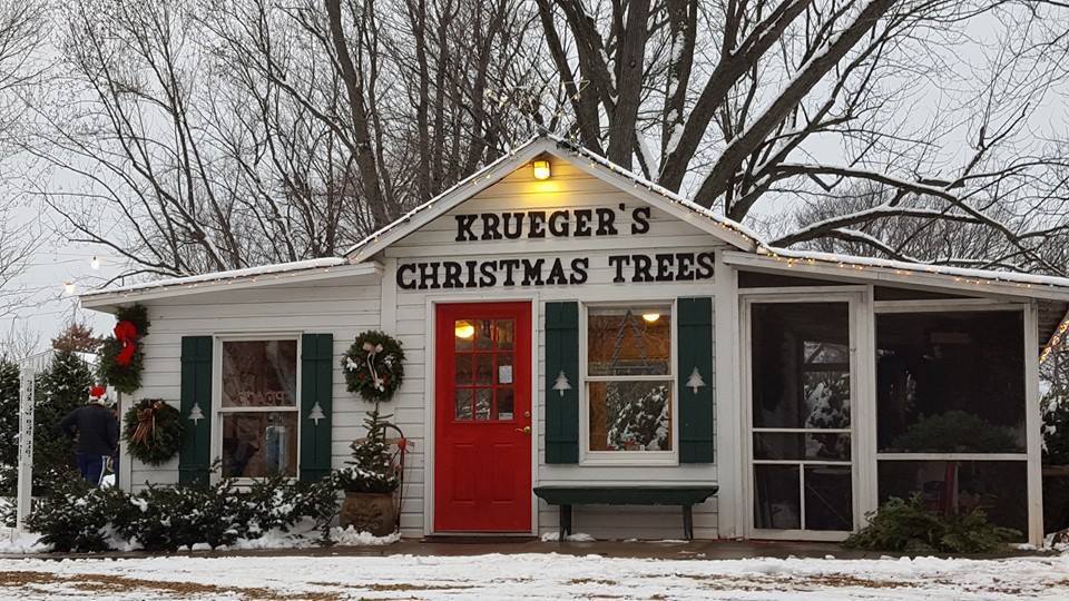 Christmas Tree Farms In Minnesota That Are Picture-Perfect