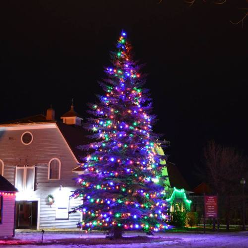 A brightly lit Christmas tree adorned with colorful lights stands outside a building at night. Snow is visible on the ground.