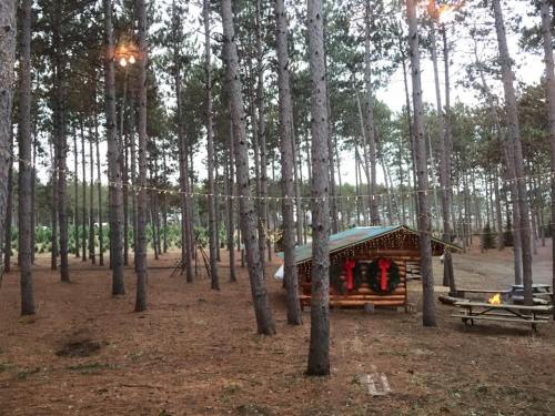 A cozy wooden cabin in a forest, surrounded by tall trees and decorated with festive wreaths.