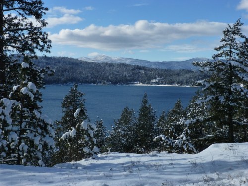 A serene winter landscape featuring a snowy shoreline, pine trees, and a calm lake under a blue sky with clouds.