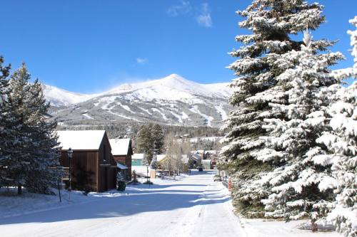 Snow-covered street lined with trees and houses, with majestic mountains in the background under a clear blue sky.