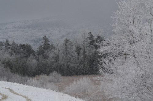 A winter landscape featuring frosted trees and a misty mountain backdrop under a gray sky.