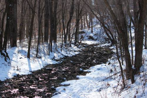 A winding stream flows through a snowy forest, surrounded by bare trees and dappled sunlight.