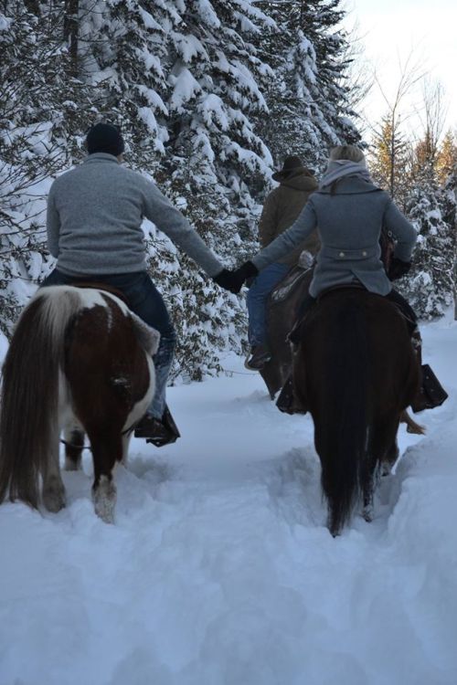 Two people on horseback hold hands while riding through a snowy forest trail. Trees are covered in snow.