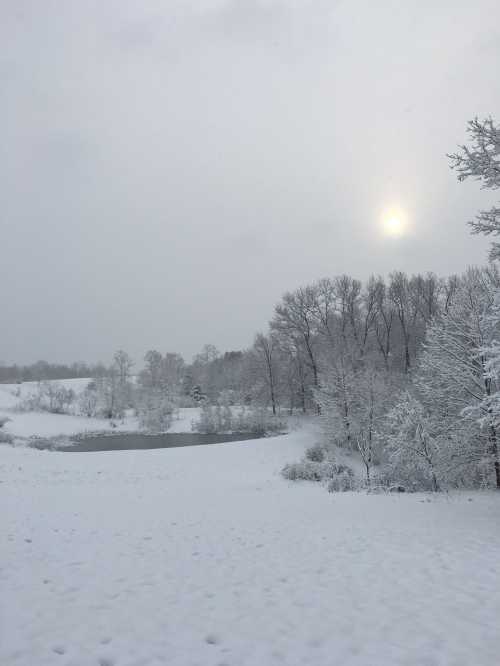 A snowy landscape with trees and a pond, under a cloudy sky with a faint sun visible.