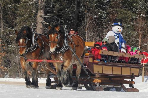 A horse-drawn sleigh carries children through snow, with a snowman decoration in front and trees in the background.