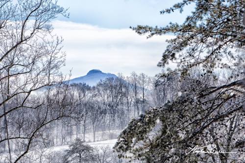 A snowy landscape with trees in the foreground and a distant mountain peak under a cloudy sky.