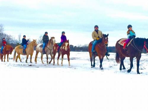 A group of people riding horses through a snowy landscape, with trees in the background under a cloudy sky.