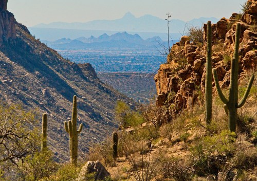 A scenic desert landscape featuring cacti, rocky hills, and distant mountains under a clear blue sky.