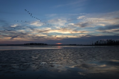 A serene sunset over a calm lake, with birds flying across a colorful sky and reflections on the water's surface.