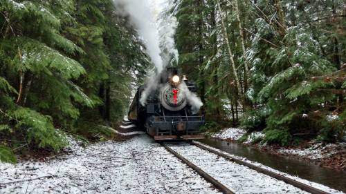 A steam train chugs through a snowy forest, with smoke billowing and trees lining the tracks.