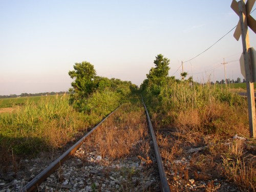 Overgrown railway tracks stretch into the distance, flanked by tall grass and trees under a clear sky.