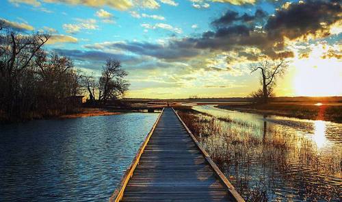 A wooden boardwalk stretches over water, surrounded by trees and a vibrant sunset sky with clouds.