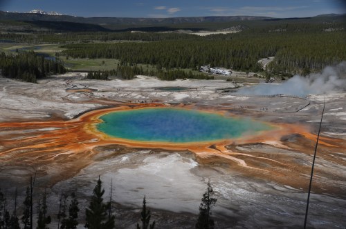Aerial view of Yellowstone's Grand Prismatic Spring, showcasing vibrant blue and orange colors surrounded by forested landscape.