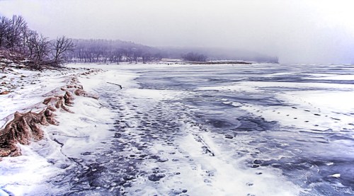 A snowy shoreline with icy water, foggy background, and bare trees lining the coast.
