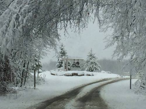 A snowy road leads to a sign partially obscured by snow, surrounded by trees and a winter landscape.