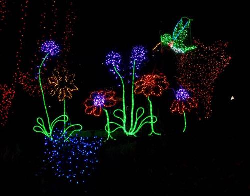 Colorful illuminated flowers and a hummingbird made of lights against a dark background.