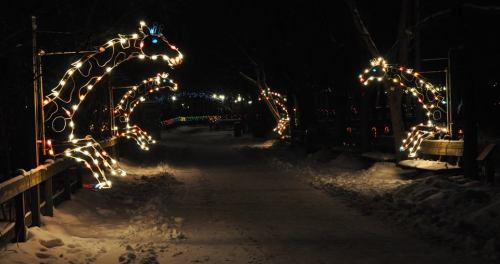 A snowy path illuminated by glowing, decorative horse figures made of lights, creating a festive atmosphere.