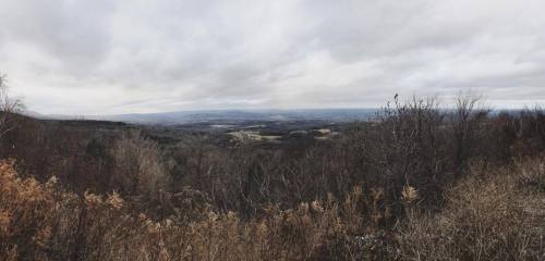 A panoramic view of a cloudy landscape with rolling hills and sparse trees, showcasing a serene, natural setting.