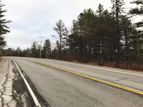 A quiet, empty road lined with trees on one side, under a cloudy sky.