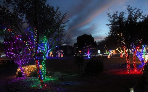 Colorful holiday lights adorn trees and shrubs against a twilight sky, creating a festive atmosphere.