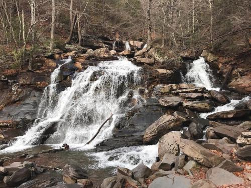 A serene waterfall cascades over rocky terrain, surrounded by trees and autumn leaves.