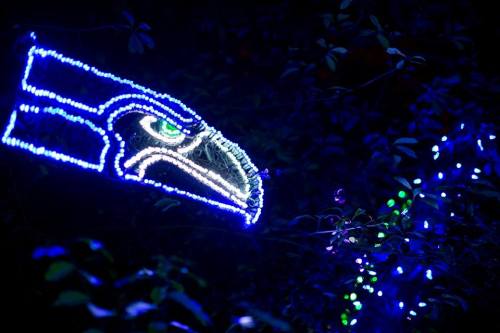 A glowing blue and green Seahawks logo illuminated among dark foliage at night.