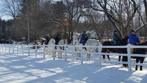 A line of horseback riders in winter gear on white horses, surrounded by snow and trees.
