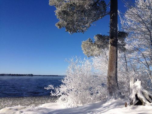 A snowy landscape by a calm lake, with frosted trees and a clear blue sky.