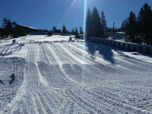 A snowy slope with ski tracks, surrounded by trees and a clear blue sky, with ski equipment in the background.