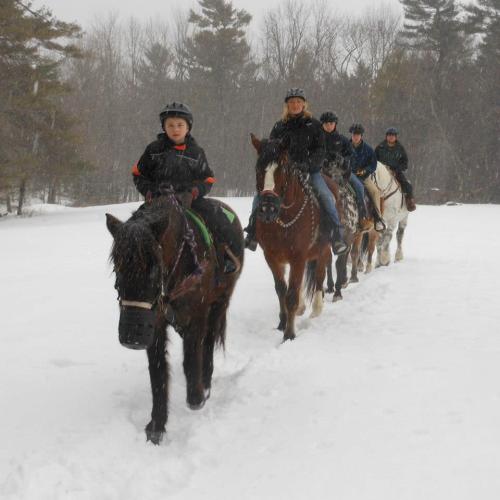 A group of riders on horseback walking through a snowy landscape, surrounded by trees.
