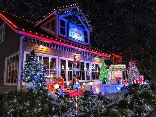 A festive house decorated with colorful Christmas lights, trees, and holiday figures under a starry night sky.